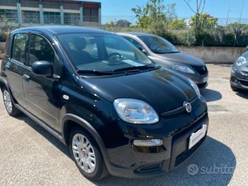 Fiat Panda 1.0 FireFly S&S Hybrid City Life 2023 I