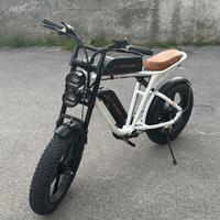 Fatbike elettrica doppia batteria ENGWE M20