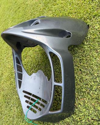 Da collezione - scudo anteriore F12