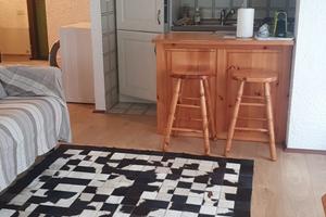 Bilocale 45mq Viola St.Gree