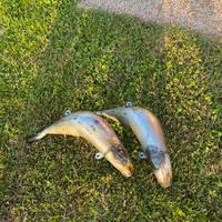 scarico scalvini ktm/hsq/gasgas 125