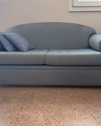 Coppia di divani 2 posti – Eleganti e imbottiti