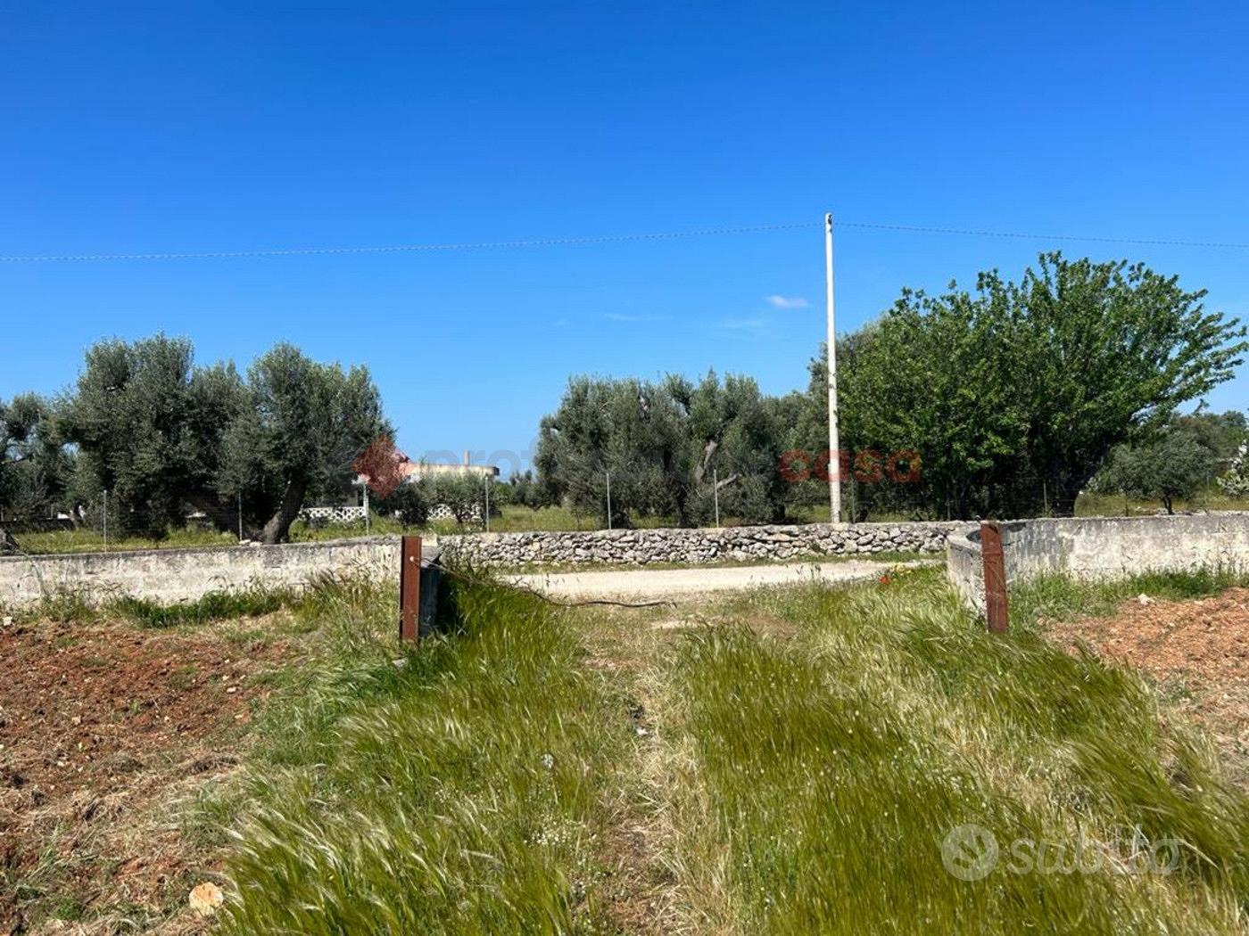 Terreno Agricolo Francavilla Fontana [LM2650.1VCG] - Vista 3