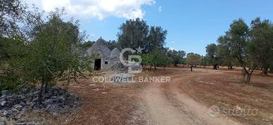 Trullo - San Michele Salentino