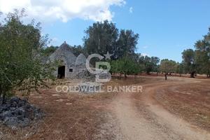 Trullo - San Michele Salentino