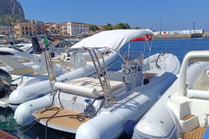 Master 7,50 Entrofuoribordo 260 cavalli