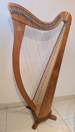 Arpa Camac Hermine 34 Corde