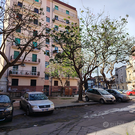 Trivani zona via plebiscito