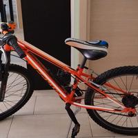 Mountain bike da bambino
