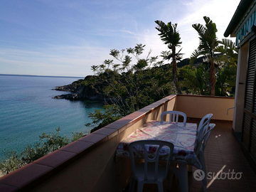 Isola d'Elba costa del sole Cavoli