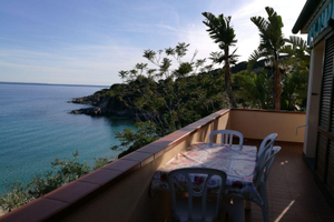 Isola d'Elba costa del sole Cavoli