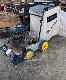 Aspira foglie benassi