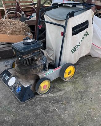 Aspira foglie benassi