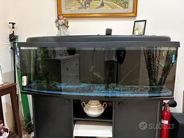 Acquario
