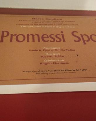Promessi sposi in milanese