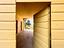 Immagine 28
