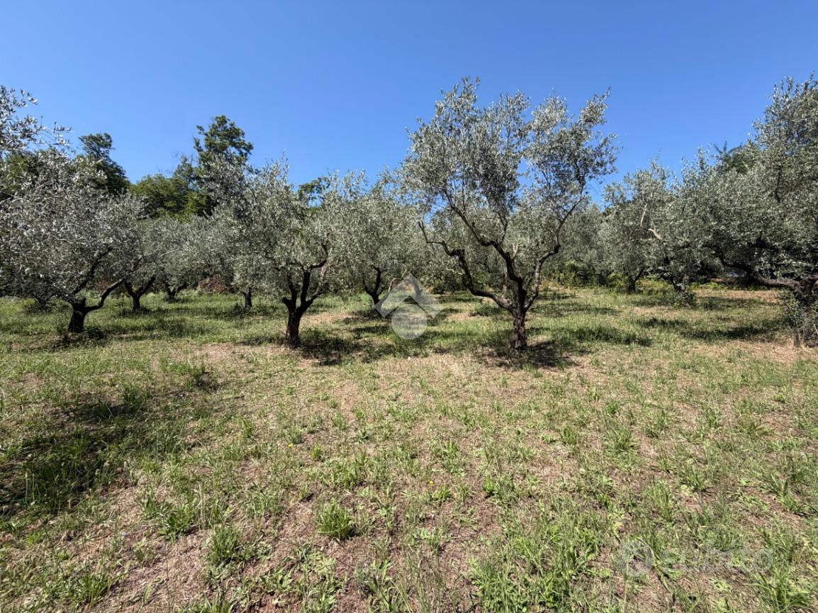 TER. AGRICOLO A SAN CESAREO - Vista 2