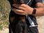 Immagine 5