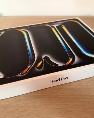 iPad Pro 13" M4, 256GB, WiFi, nero, batteria 100%