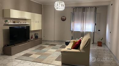 Tappeto 160x230
