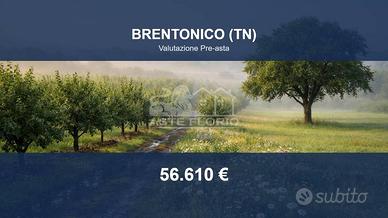 Immobile in asta di 28489 m² a Brentonico