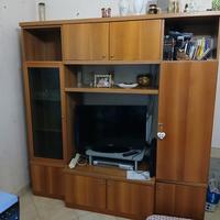 mobile salone portatv