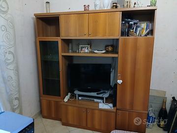 mobile salone portatv