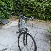 Bici da uomo Daccordi