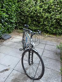 Bici da uomo Daccordi