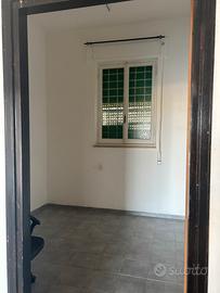 Negozio lungomare torvaianica