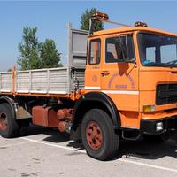 Camion fiat om 160