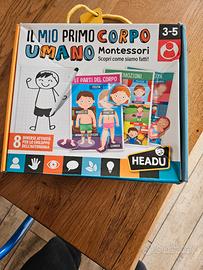 Gioco "Il mio primo corpo umano"