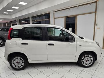 Fiat Panda 1.3 MJT 95 CV S&S Easy NEOPATENTATI