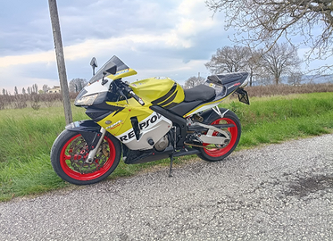 Cbr 600rr 2004