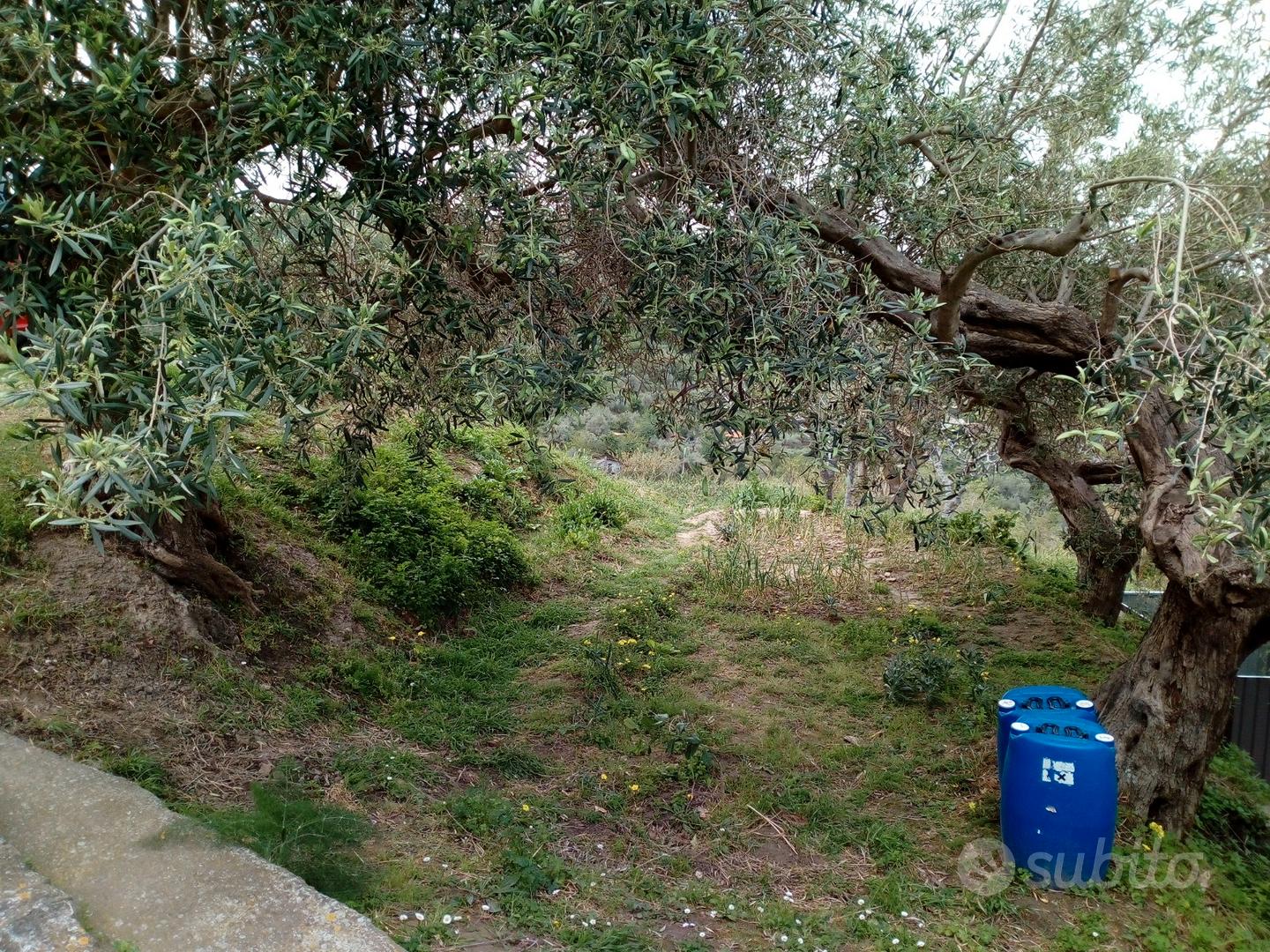Terreno agricolo - Altro