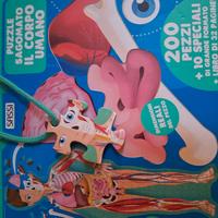 puzzle Matteo gaule il corpo umano 