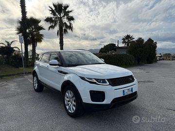Land Rover Range Evoque 2.2 TD4 5p. Pure