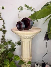 Ciotola anti-fuga per insetti vivi