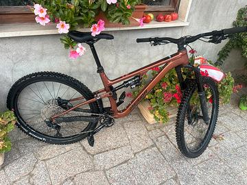 Bicicletta downhill