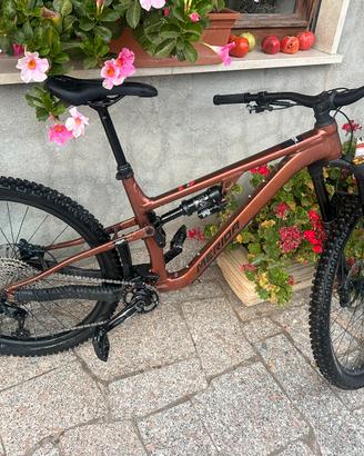 Bicicletta downhill