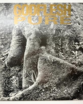 Lp vinile Godflesh Pure