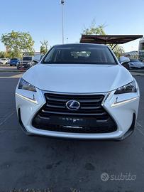 Lexus nx 300h