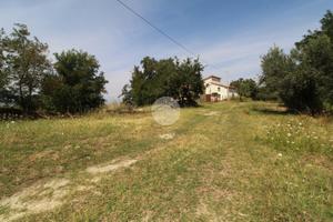 TER. RESIDENZIALE A ROSE