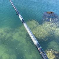 Bolognese Daiwa Aw 1000 9 metri