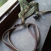 guinzagli cani o gatti piccola taglia