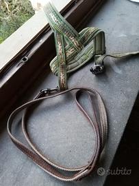 guinzagli cani o gatti piccola taglia