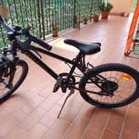 bicicletta 20