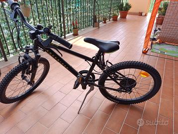 bicicletta 20