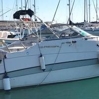 Regal 242 commodore con 240 cv volvo 5.0 Gl