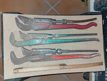 giratubo pappagallo cagna